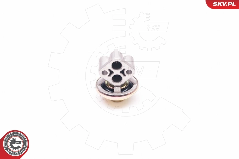 EGR Valve